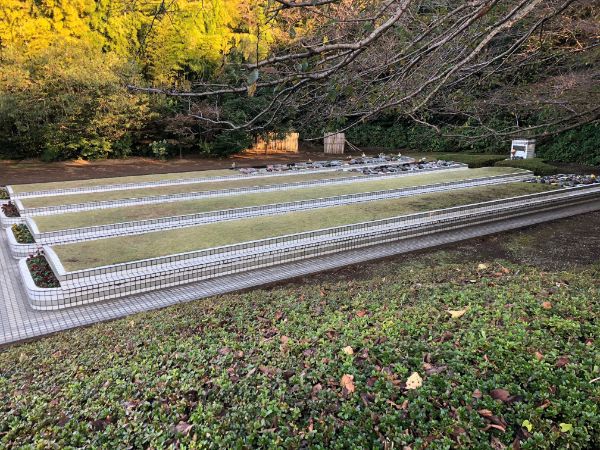 ペット霊園 湘南ペットメモリーランド個別墓地:花の聖地