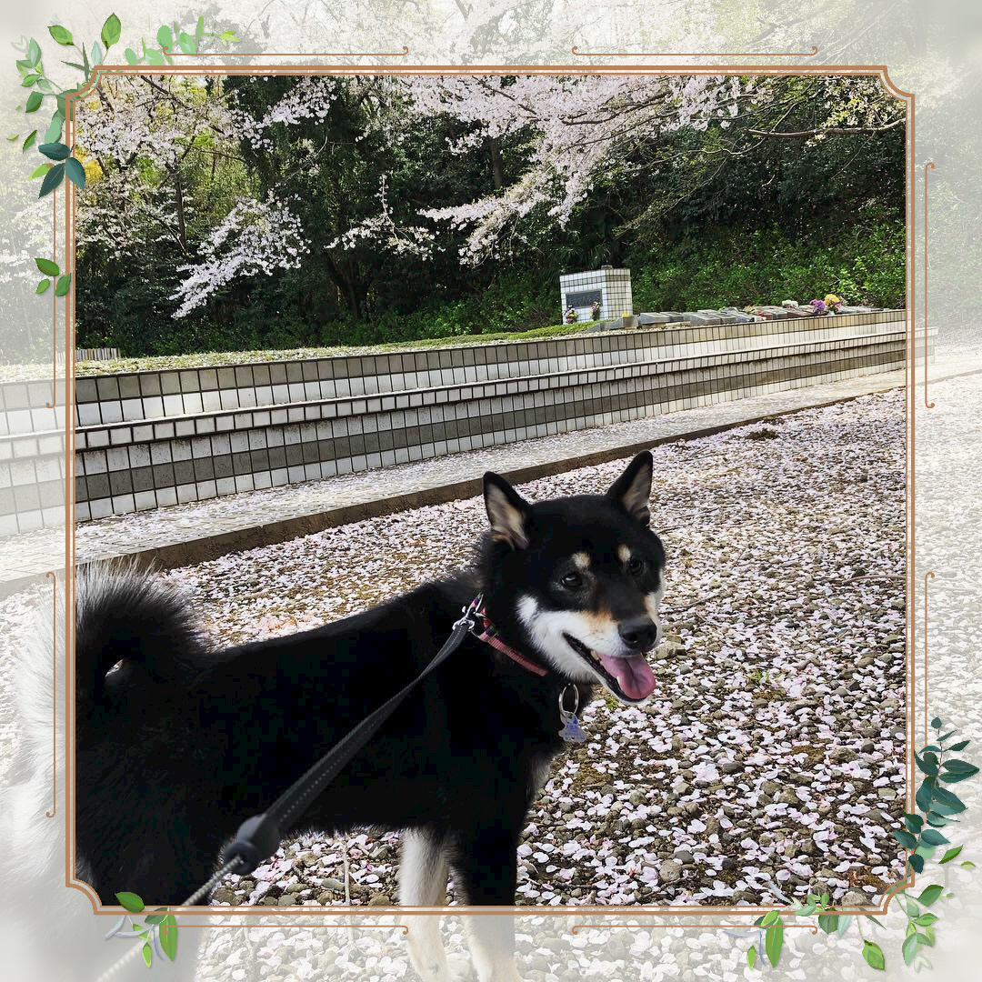 ペット霊園 湘南ペットメモリーランド